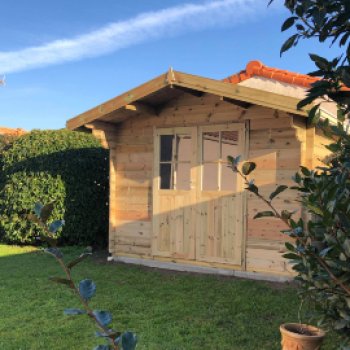 Abri de jardin en bois 2 pentes